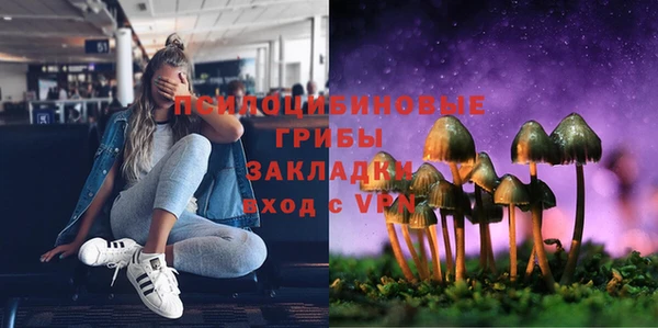 МДПВ Козловка