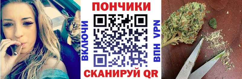 Каннабис индика сколько стоит Лагань